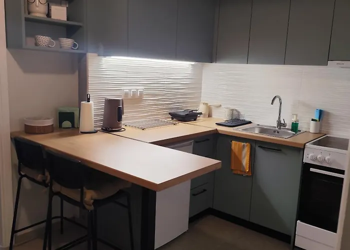 Parastaseis One Bedrooom Flat Georges Square *